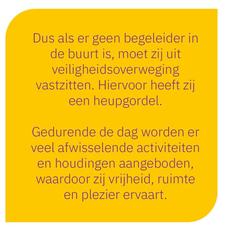 Omschrijving van afbeelding(nog in te vullen)